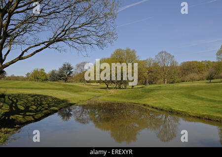 Vista sul laghetto e albero del quarto foro con riflessioni, Thorndon Park Golf Club Brentwood Essex Inghilterra Foto Stock