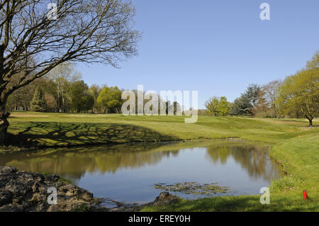 Vista sul laghetto e albero del quarto foro con riflessioni, Thorndon Park Golf Club Brentwood Essex Inghilterra Foto Stock