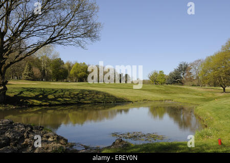 Vista sul laghetto e albero del quarto foro con riflessioni, Thorndon Park Golf Club Brentwood Essex Inghilterra Foto Stock