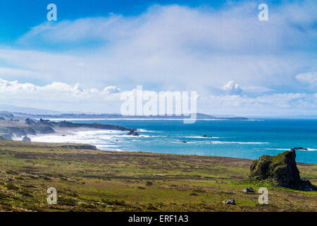 La California del Nord e costa nella contea di Sonoma lungo l'autostrada 1 Foto Stock