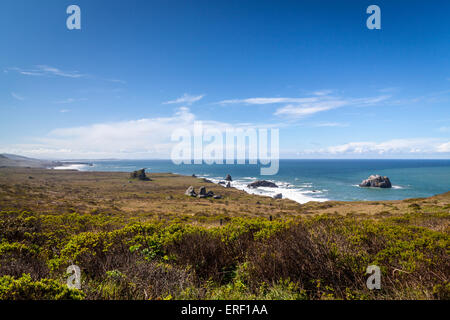 La costa della California tra Bodega Bay e Jenner lungo l'autostrada 1 nella California settentrionale, Sonoma County USA Foto Stock