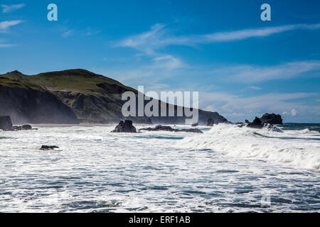 La costa della California lungo la Highway 1 in California settentrionale della contea di Sonoma a Capra Rock State Park Foto Stock