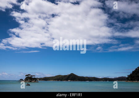 Torrent Bay lungo la costa del Parco Nazionale di Abel Tasman, Nuova Zelanda. Foto Stock