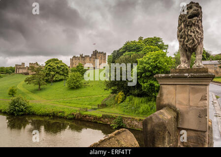 Alnwick Castle home dei duchi di Northumberland. Un imponente statua di Lion sul ponte sopra il fiume aln. Nord Est Inghilterra Foto Stock