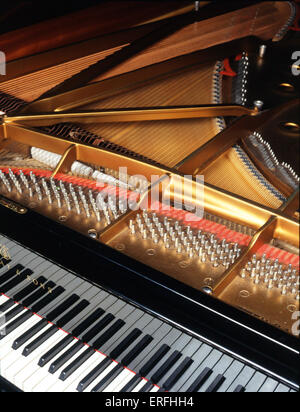 Chiudere fino a Steinway grand piano tastiera e vista della struttura interna (martelli e stringhe). Foto Stock