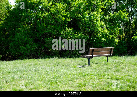 Un banco vuoto in collina del Parlamento Foto Stock