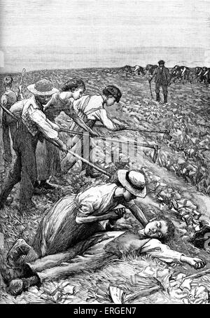 "Pista sistema' agricoltura - fine del XIX secolo illustrazione. Divisione del lavoro schiavo utilizzato sulle piantagioni. Ragazzo è svenuta dal Foto Stock