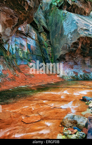 La forcella ad ovest di Oak Creek precipita attraverso la Coconino National Forest e queste colorate pareti del canyon vicino a Sedona, in Arizona. Foto Stock