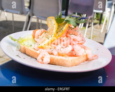 A viso aperto sandwich di gamberi con maionese, limone e più su un tavolo blu top, pesce all'aperto estate delicatezza in Oslo Norvegia Foto Stock