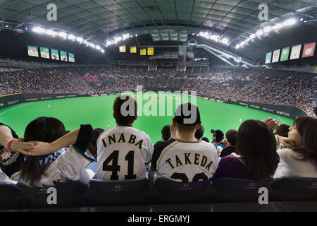 Ventole indossare magliette con i nomi dei giocatori dalla Nippon Ham Fighters professionale team di baseball Foto Stock