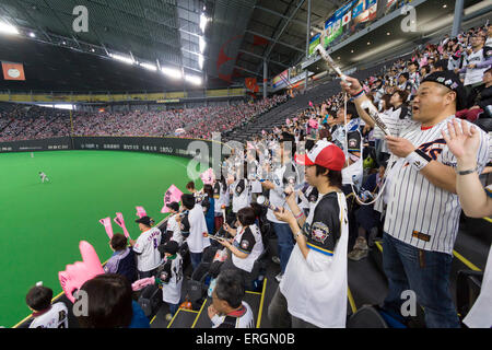 Un enorme folla di gente alla cupola di Sapporo a Sapporo, Hokkaido si riuniscono per guardare la Nippon Ham Fighters. Foto Stock