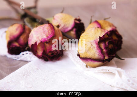 Rosebuds essiccato sul tavolo Foto Stock