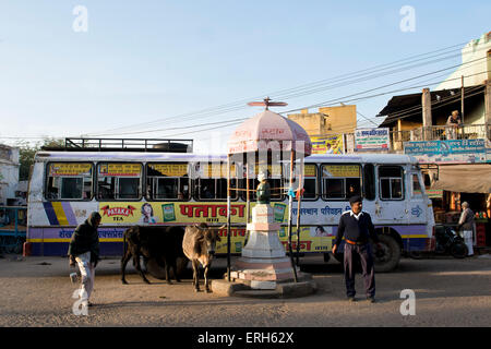 India Rajasthan, Mandawa, la vita quotidiana in città Foto Stock