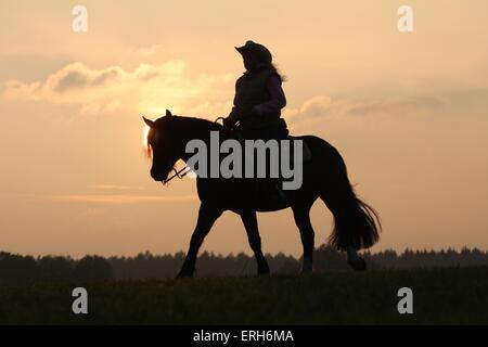 La donna corse Welsh-Cob Foto Stock