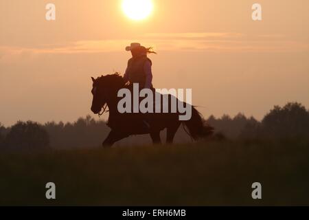 La donna corse Welsh-Cob Foto Stock