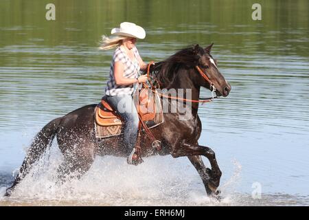 La donna corse Welsh-Cob Foto Stock