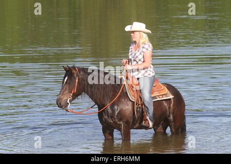 La donna corse Welsh-Cob Foto Stock