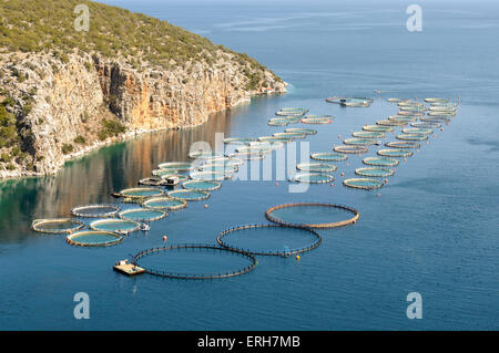 Offshore di orate e spigole la piscicoltura, Grecia Foto Stock