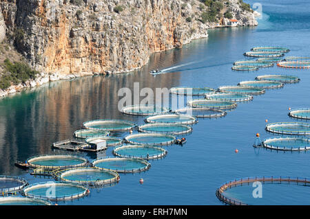 Offshore di orate e spigole la piscicoltura, Grecia Foto Stock