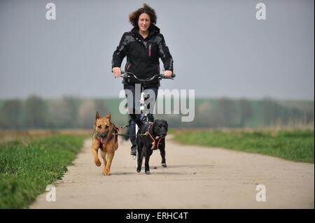 Hadhi-Trike Foto Stock