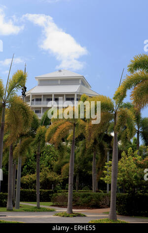 Guardando lungo il Cairns foreshore verso l'hotel Shangri-La e il molo Marketplace, visibile in primo piano dietro palme. Foto Stock