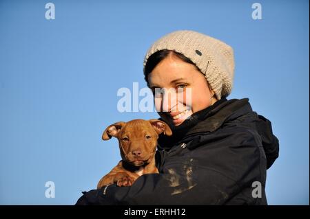 Donna con giovani Pitbull-mongrel Foto Stock