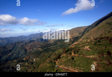 Il Blue Mountains in Giamaica Foto Stock