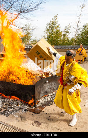 Giappone, Nishinomiya, Mondo Yakujin tempio. Masterizzazione annuale rituale, con giallo derubato yamabushi monaci, Shugendo, gettando scatole di vecchie omikuji nel fuoco. Foto Stock