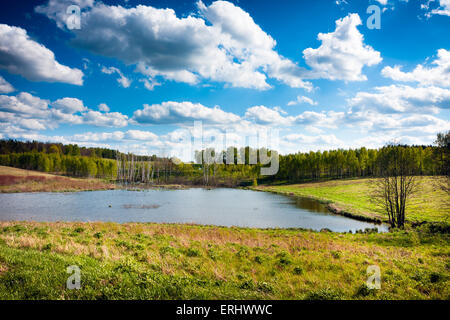 Paesaggio Masurian, Polonia Foto Stock