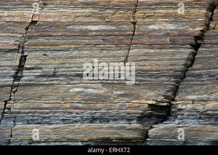 Rocce carbonifero a Scremerston, Berwick Upon Tweed, Northumberland, Inghilterra Foto Stock