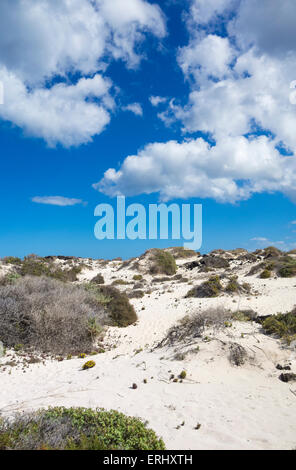 Dune di sabbia sulla spiaggia sulla costa nord est di Lanzarote, Isole Canarie, Spagna Foto Stock