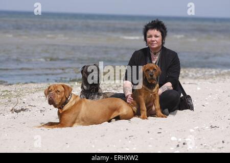 donna con cani Foto Stock