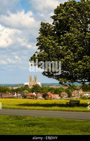 Beverley town & Minster sembrano dalla Westwood con renoncules in fiore. Foto Stock