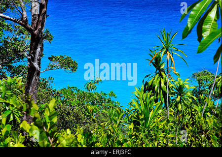 Profondo blu acqua e vegetazione verde sull'isola Mahe, Seychelles, Anse principali Foto Stock