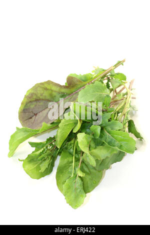 Green mazzetto di rucola su uno sfondo luminoso Foto Stock
