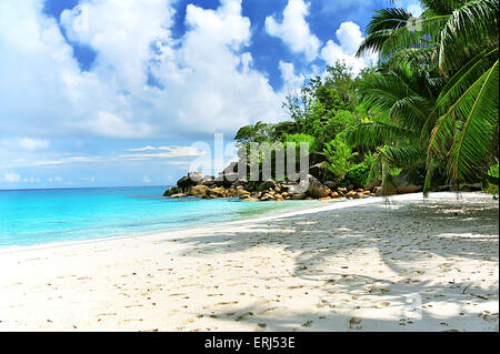 Anse Georgette, Beach sull'Isola di Praslin, Seicelle Foto Stock