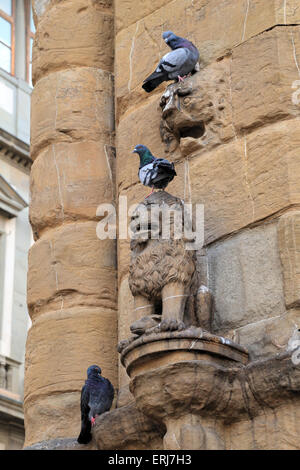 Piccioni seduta su lion sculture, Firenze Foto Stock