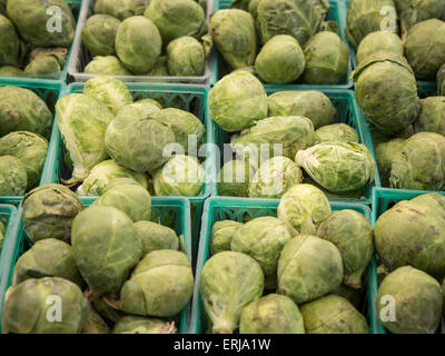 Organic i cavoletti di Bruxelles sul display nel mercato degli agricoltori. Foto Stock