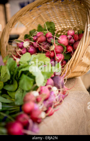 Cesto di ravanelli sul display in un mercato degli agricoltori a San Diego, CA Foto Stock