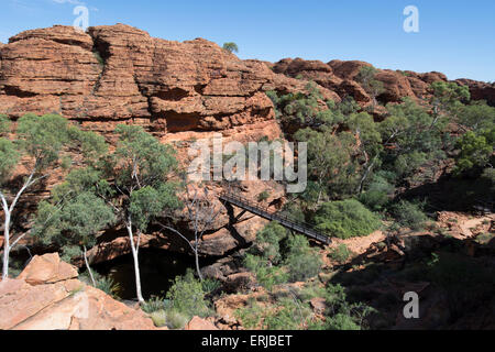 Australia, NT, Watarrka National Park. Kings Canyon, Rim a piedi. Ponte in legno sul gorge. Foto Stock