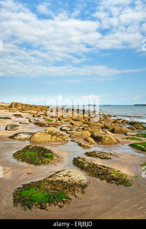 Pomeriggio vista lungo la spiaggia al castello di Punto vicino Rockcliffe, Dumfries and Galloway, Scozia Foto Stock