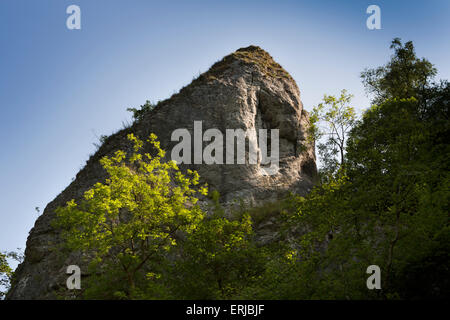 Regno Unito, Inghilterra, Derbyshire, Dovedale, Pickering Tor calcare sperone di roccia Foto Stock