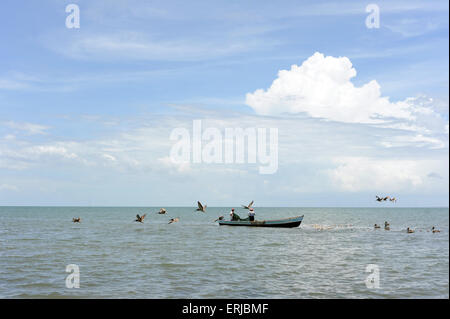 Costa Caraibica di Livingston, Isabal dipartimento in Guatemala. Foto Stock