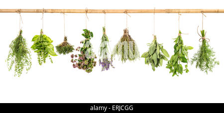 Le erbe fresche appeso isolati su sfondo bianco. Mazzo di basilico, salvia, timo, aneto, menta, maggiorana, lavanda Foto Stock