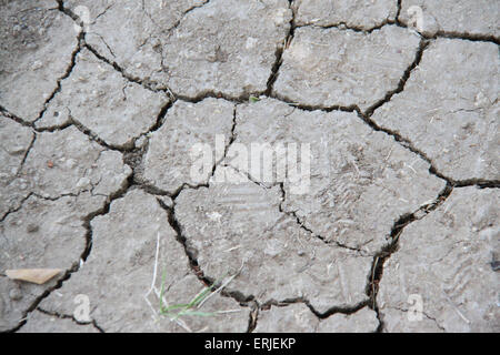 Secche e screpolate terreno Foto Stock
