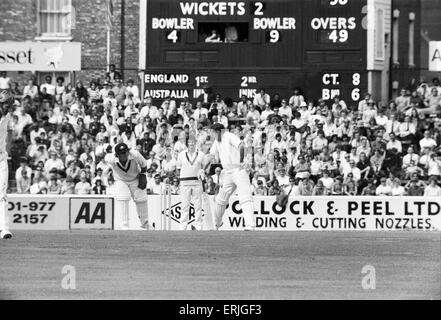 Tour Australiano della Gran Bretagna per la cenere. Inghilterra v Australia quinta prova al ovale. Inghilterra battitore Hampshire guarda indietro con disgusto a Rodney Marsh, che ha lanciato un appello per una sconcertante. Il 10 agosto 1972. Foto Stock