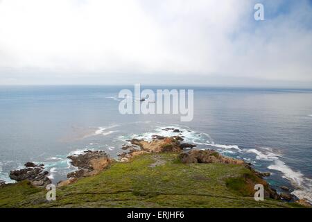 Bel Big Sur sulla costa della California dall autostrada e uno Stato Garrapatta Park Foto Stock