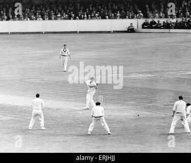 Inghilterra v Australia quinta prova corrisponde al ovale per le ceneri. Inghilterra battitore Denis Compton colpisce la vincita viene eseguito per trattenere le ceneri per l'Inghilterra. 19 agosto 1953. Foto Stock