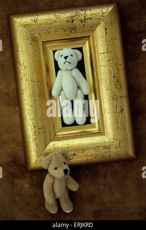 Cornice dorata contenente il modello di pelliccia Orsacchiotto bianco a piedi al di fuori del telaio con orso bruno passato a piedi Foto Stock