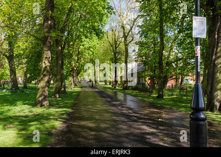 "Passeggiate" di King's Lynn è una bellissima e storica zona di parco con affiorato sentieri alberati. Foto Stock